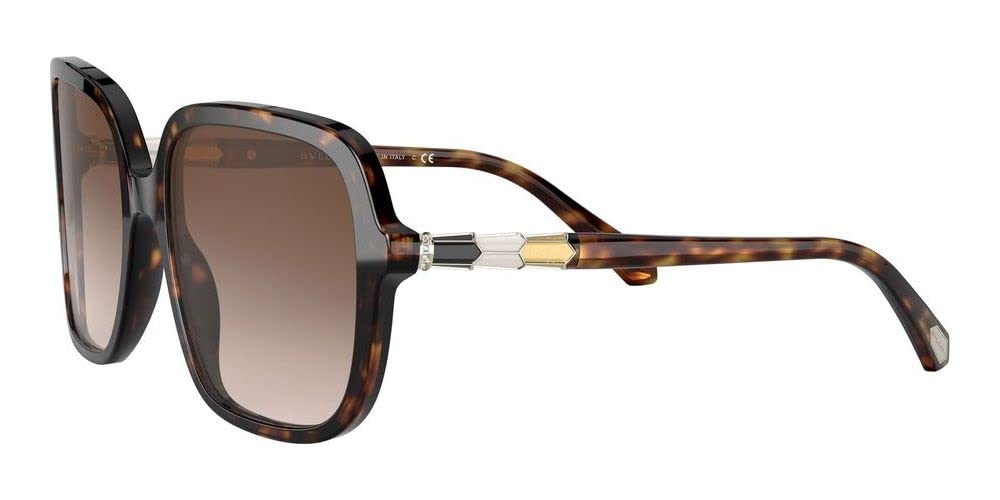 Serpent Eyes Cat-Eye Sunglasses