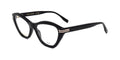 Black Plastic Frame Eyeglasses