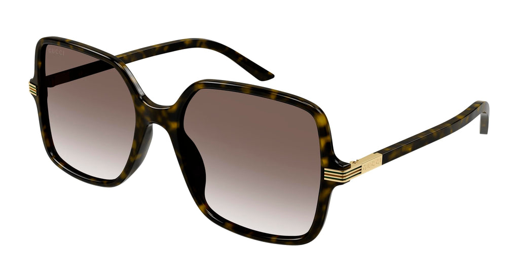 Havana Gold Square Sunglasses