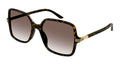 Havana Gold Square Sunglasses