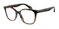 Havana Green Eyeglasses Frame