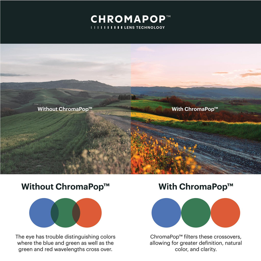Photochromic Performance Sunglasses Matte Black Brown Lens